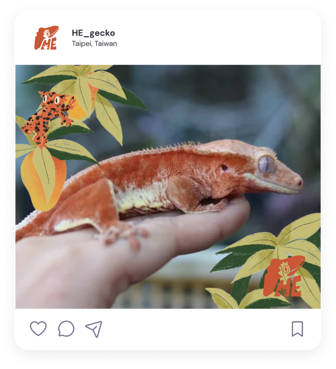 Have a chat!